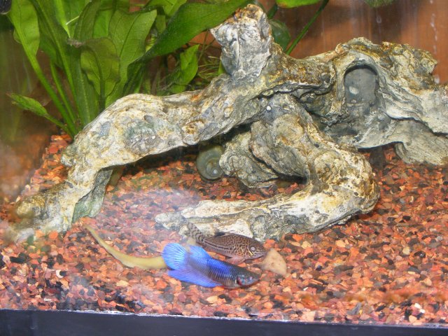 12-22-2008 008.jpg