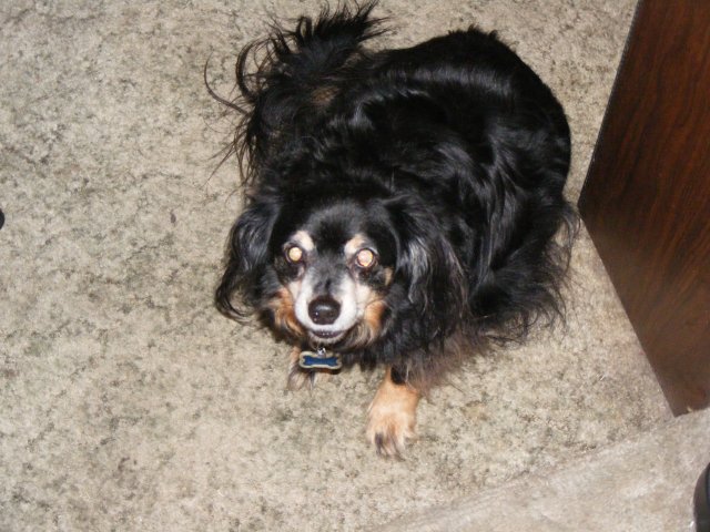 12-22-2008 074.jpg