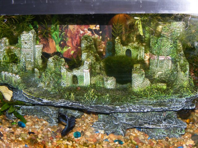 12-22-2008 052.jpg