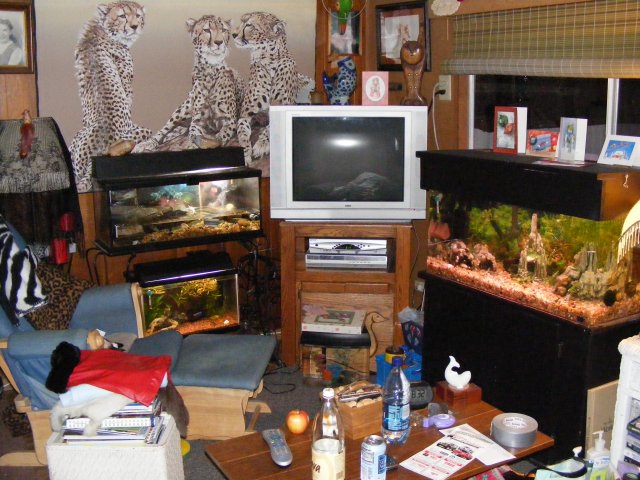 12-22-2008 068.jpg