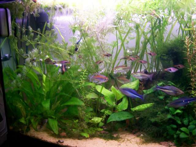 100_1072.JPG