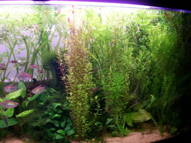 100_1073.JPG