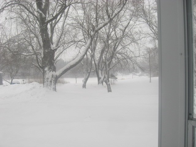 Picture 166.jpg