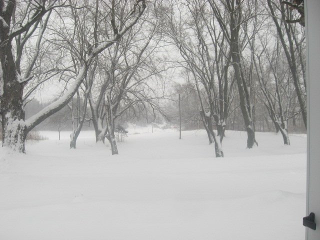 Picture 170.jpg