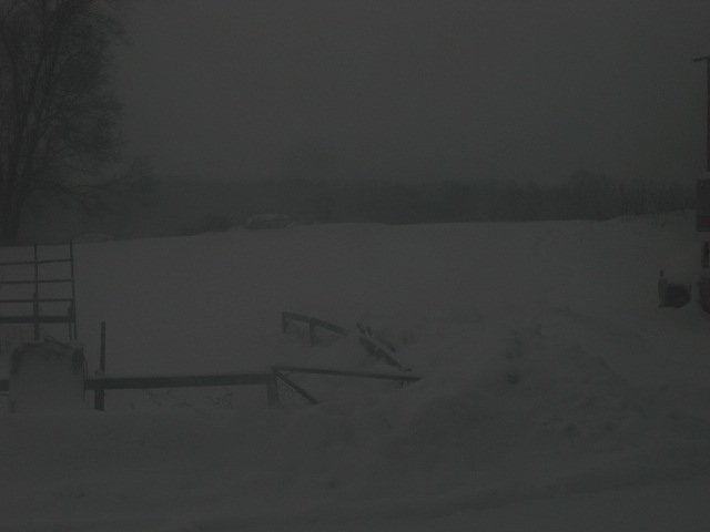 Picture 173.jpg