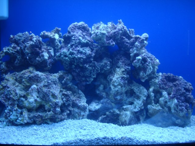 DSC00761.JPG