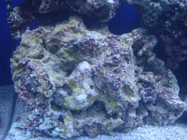 DSC00765.JPG
