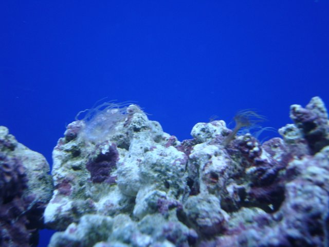 DSC00771.JPG