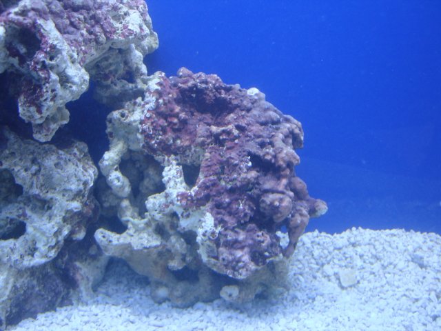 DSC00766.JPG