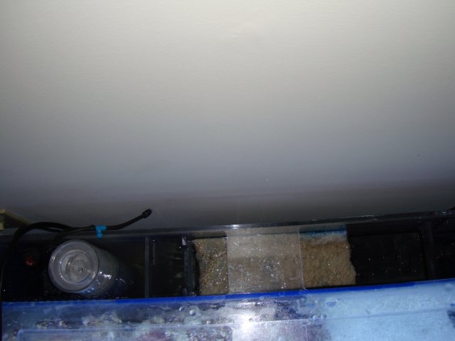 DSC00782.JPG
