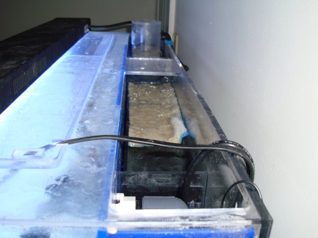 DSC00784.JPG
