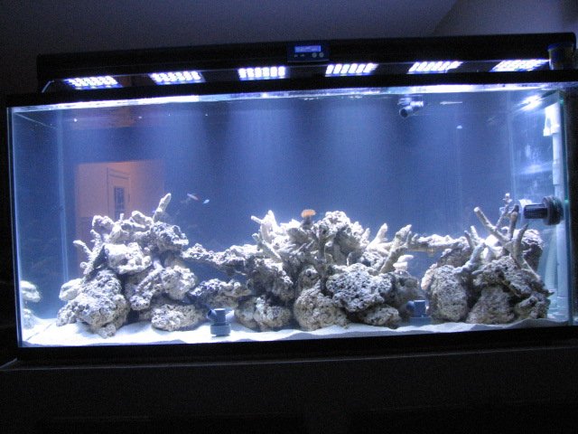 Christmas 2008 025.JPG