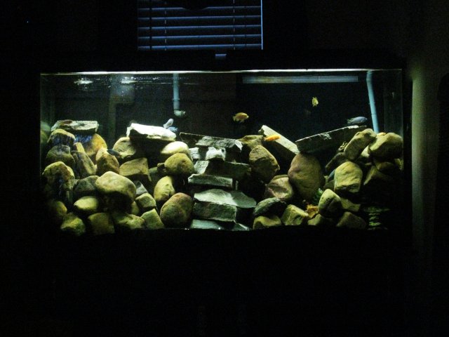IMG_0419.JPG