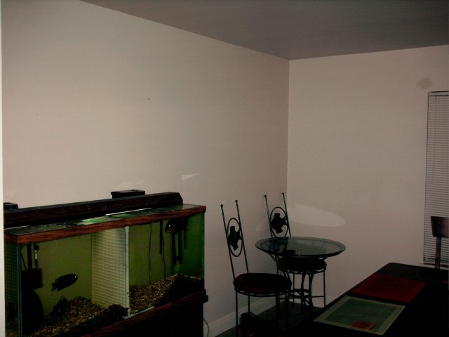 004.JPG