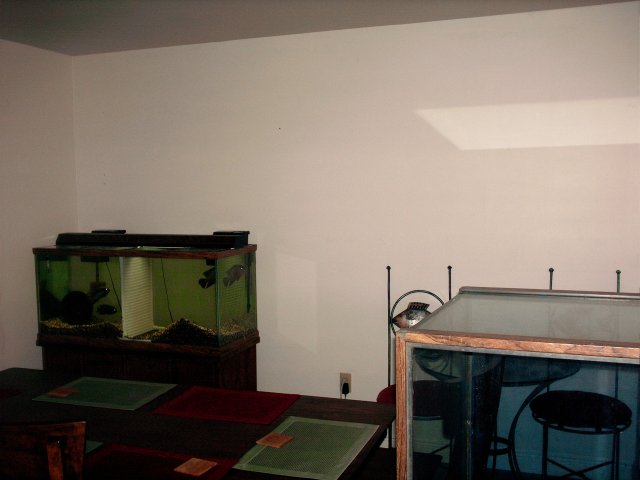 006.JPG