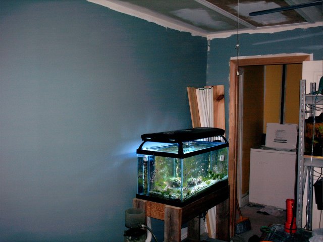 009.JPG