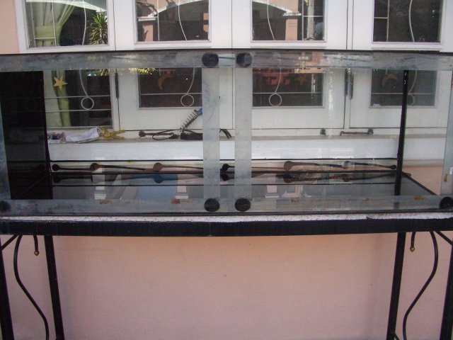 IMGP6068.JPG.jpg