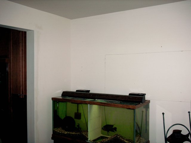 005.JPG