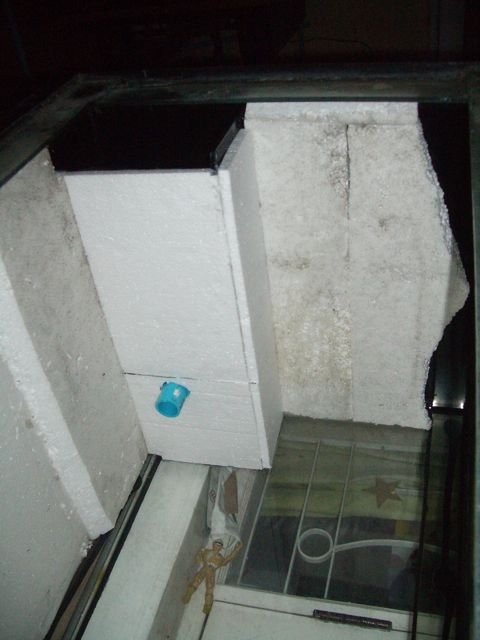 IMGP6105.jpg