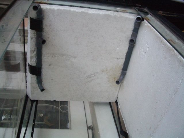 IMGP6108.jpg
