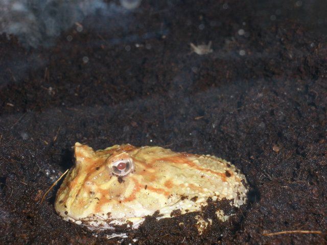 PC270088.JPG