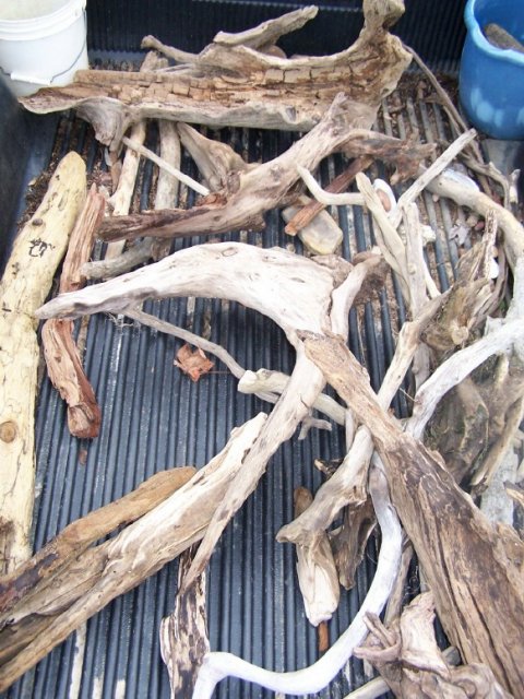 driftwood1.jpg driftwood1.jpg