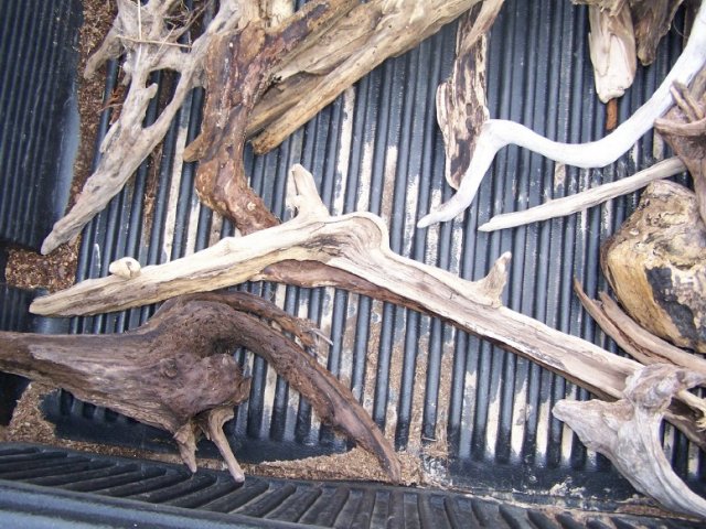 driftwood2.jpg driftwood2.jpg