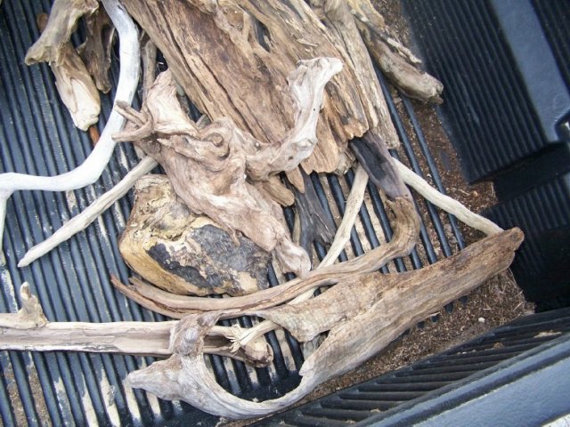 driftwood5.jpg driftwood5.jpg