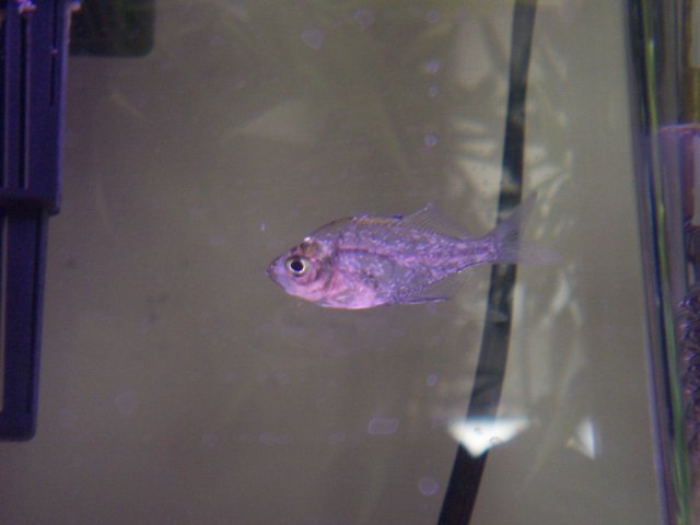 100_3214.jpg