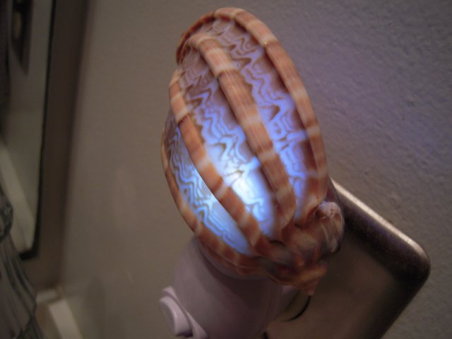 1245421343 (16).jpg