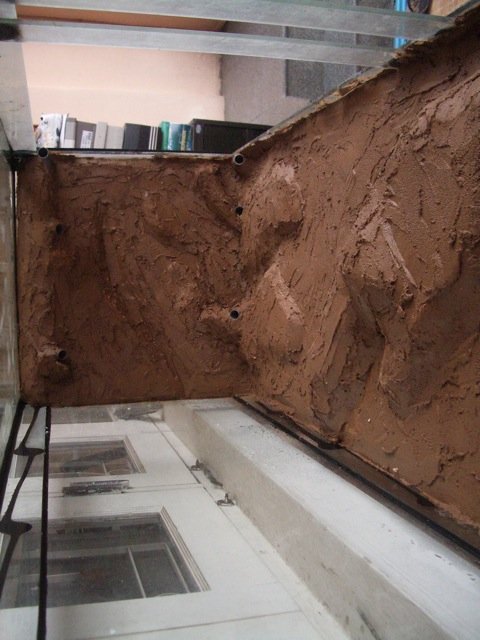 IMGP6118.jpg