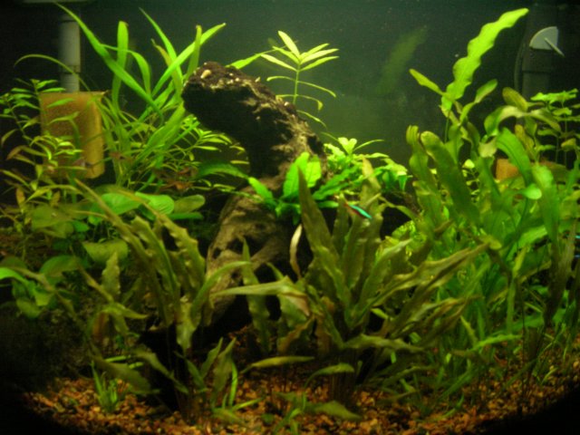 DSCN3618.JPG