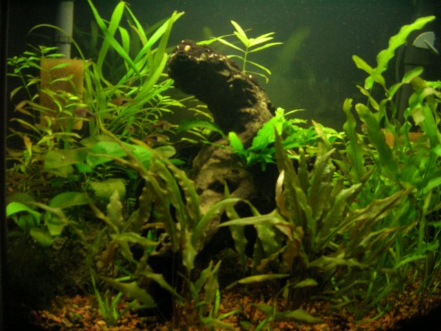 DSCN3615.JPG