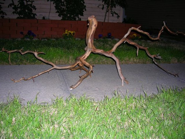 DSCN3623.JPG