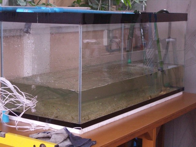 IMGP6124.jpg