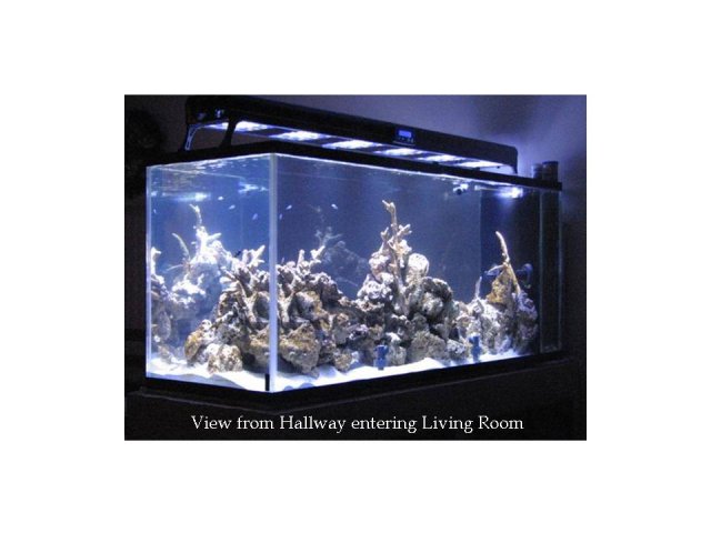 Aquarium - Hallway view.jpg