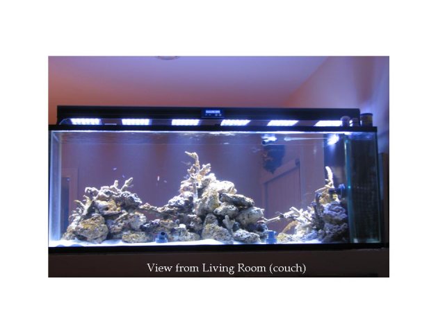 Aquarium - LR view.jpg