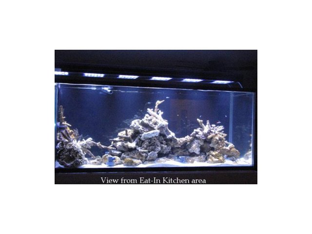 Aquarium - Eat-In Kitchen area view.jpg