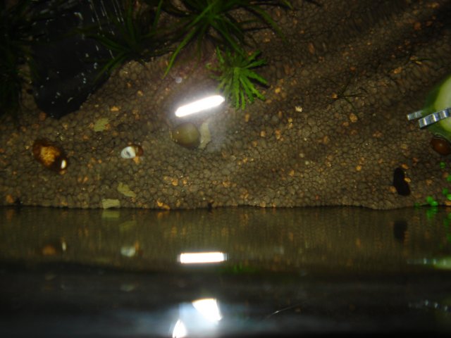 DSC00187.JPG