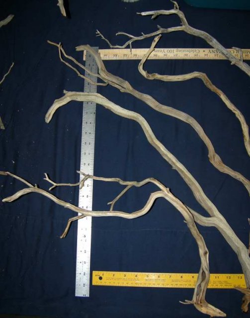 MED PKG 87 LFT0001.JPG