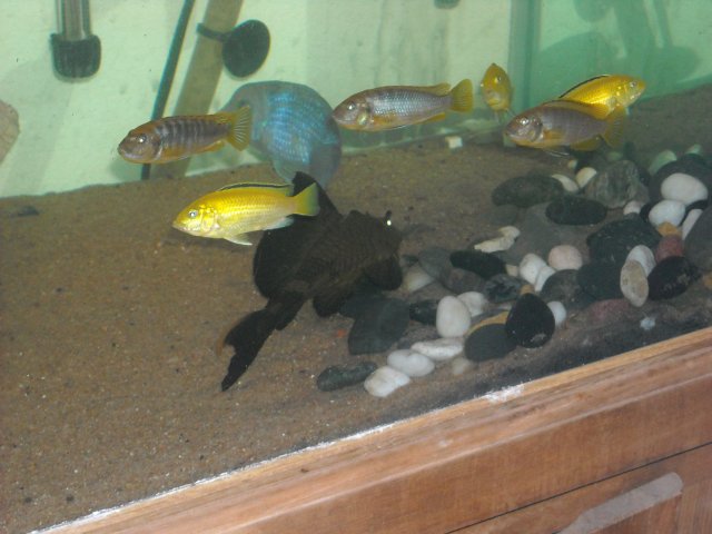 Picture 014.jpg