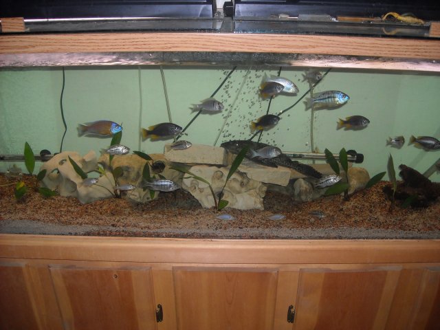 Picture 142.jpg