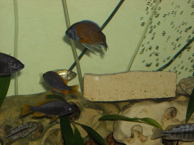 Picture 241.jpg