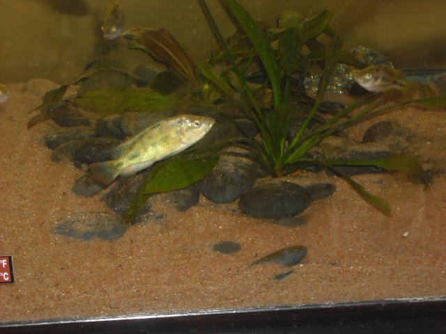 Picture 068.jpg