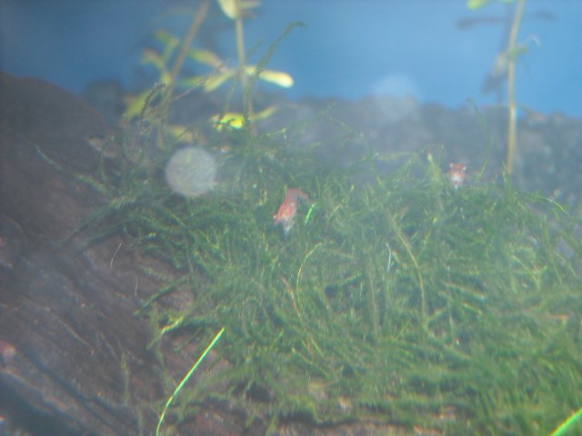 DSCN0547.JPG