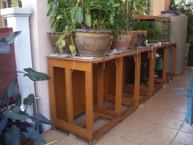 IMGP6130.jpg