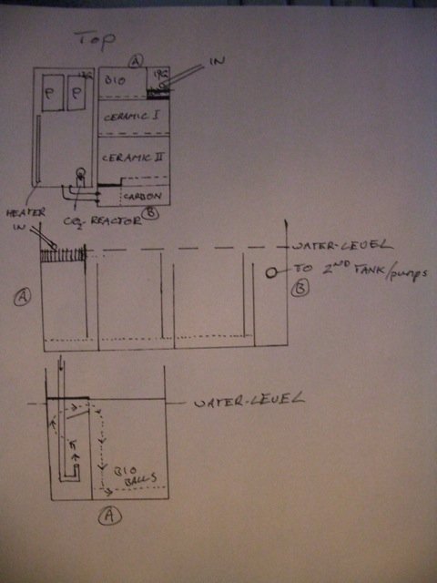 IMGP6137.jpg