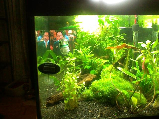 planted01.jpg