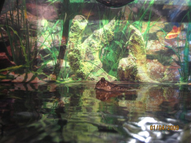 IMG_2066.JPG
