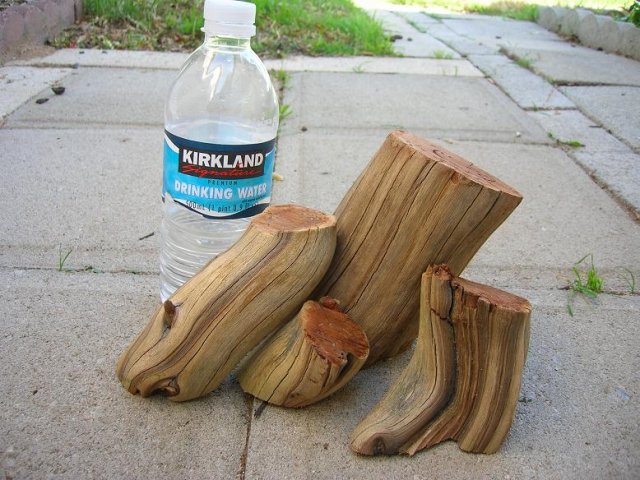 DSCN3697.JPG